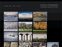 Tablet Screenshot of carolstegeman.com